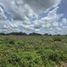  Terreno (Parcela) en venta en Izamal, Yucatán, Izamal