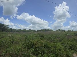  Terreno (Parcela) en venta en Izamal, Yucatán, Izamal
