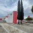 Maison 3 chambre à louer à Toluca, Mexico, Toluca