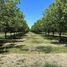  Land for sale in Durango, Durango, Durango, Durango