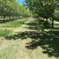  Land for sale in Durango, Durango, Durango, Durango