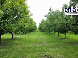  Land for sale in Durango, Durango, Durango, Durango