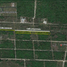  Terreno (Parcela) en venta en Temozon, Yucatán, Temozon