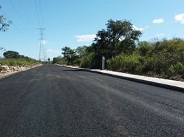  Terreno (Parcela) en venta en Temozon, Yucatán, Temozon