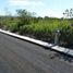  Terreno (Parcela) en venta en Temozon, Yucatán, Temozon