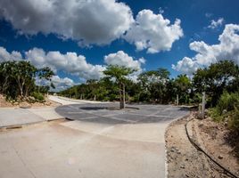  Grundstück zu verkaufen in Conkal, Yucatan, Conkal, Yucatan