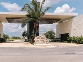 Terreno (Parcela) en venta en Conkal, Yucatán, Conkal, Yucatán