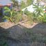  Grundstück zu verkaufen in Acapulco, Guerrero, Acapulco, Guerrero
