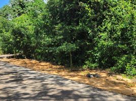 Land for sale in Lazaro Cardenas, Quintana Roo, Lazaro Cardenas