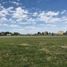  Land for sale in San Vicente, Buenos Aires, San Vicente