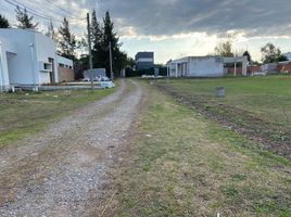  Land for sale in La Plata, Buenos Aires, La Plata