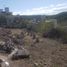  Land for sale in Colon, Cordoba, Colon