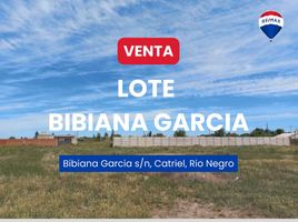  Land for sale in General Roca, Rio Negro, General Roca