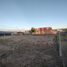  Land for sale in Confluencia, Neuquen, Confluencia