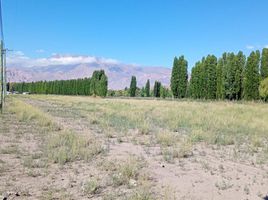  Terrain for sale in Aeroparque Ciudad de Mendoza, Capital, Las Heras