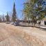  Land for sale in Guaymallen, Mendoza, Guaymallen