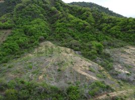  Terreno (Parcela) en venta en Charapoto, Sucre, Charapoto