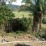  Land for sale in Compostela, Nayarit, Compostela