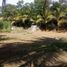  Terreno (Parcela) en venta en Compostela, Nayarit, Compostela