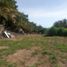  Terreno (Parcela) en venta en Compostela, Nayarit, Compostela