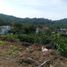  Terreno (Parcela) en venta en Compostela, Nayarit, Compostela