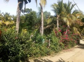  Terreno (Parcela) en venta en Compostela, Nayarit, Compostela
