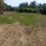  Terreno (Parcela) en venta en Compostela, Nayarit, Compostela
