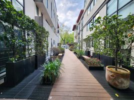 2 chambre Condominium for rent in Mexico City, Alvaro Obregon, Mexico City