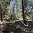  Land for sale in Rio Negro, Bariloche, Rio Negro