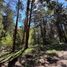  Land for sale in Rio Negro, Bariloche, Rio Negro