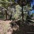  Land for sale in Rio Negro, Bariloche, Rio Negro