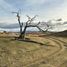  Terrain for sale in Rio Grande, Tierra Del Fuego, Rio Grande