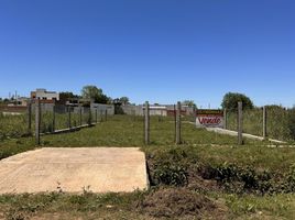  Land for sale in Colon, Entre Rios, Colon