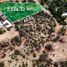  Terreno (Parcela) en venta en La Paz, Baja California Sur, La Paz, Baja California Sur