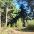  Land for sale in Rio Negro, Bariloche, Rio Negro