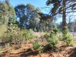  Land for sale in Rio Negro, Bariloche, Rio Negro