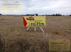  Land for sale in San Vicente, Buenos Aires, San Vicente