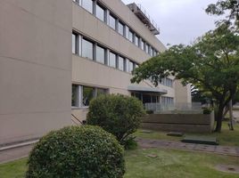 5,270 m² Office for rent in General San Martin, Buenos Aires, General San Martin