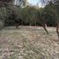  Land for sale in Colon, Entre Rios, Colon