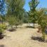  Land for sale in Neuquen, Confluencia, Neuquen