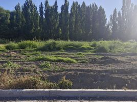  Terreno (Parcela) en venta en Confluencia, Neuquen, Confluencia