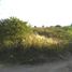  Land for sale in Punilla, Cordoba, Punilla