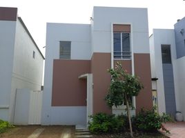 3 Bedroom House for rent in Guayas, Daule, Daule, Guayas