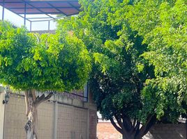 Maison 3 chambre à vendre à Queretaro, Queretaro, Queretaro, Queretaro