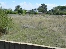 Terrain à vendre à La Plata, Buenos Aires, La Plata