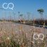  Land for sale in San Vicente, Buenos Aires, San Vicente