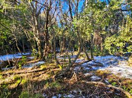  Terreno (Parcela) en venta en Rio Negro, Bariloche, Rio Negro