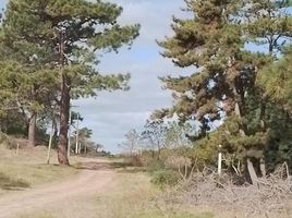  Land for sale in Villa Gesell, Buenos Aires, Villa Gesell