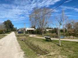 Terrain à vendre à La Plata, Buenos Aires, La Plata