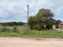  Land for sale in General Alvarado, Buenos Aires, General Alvarado